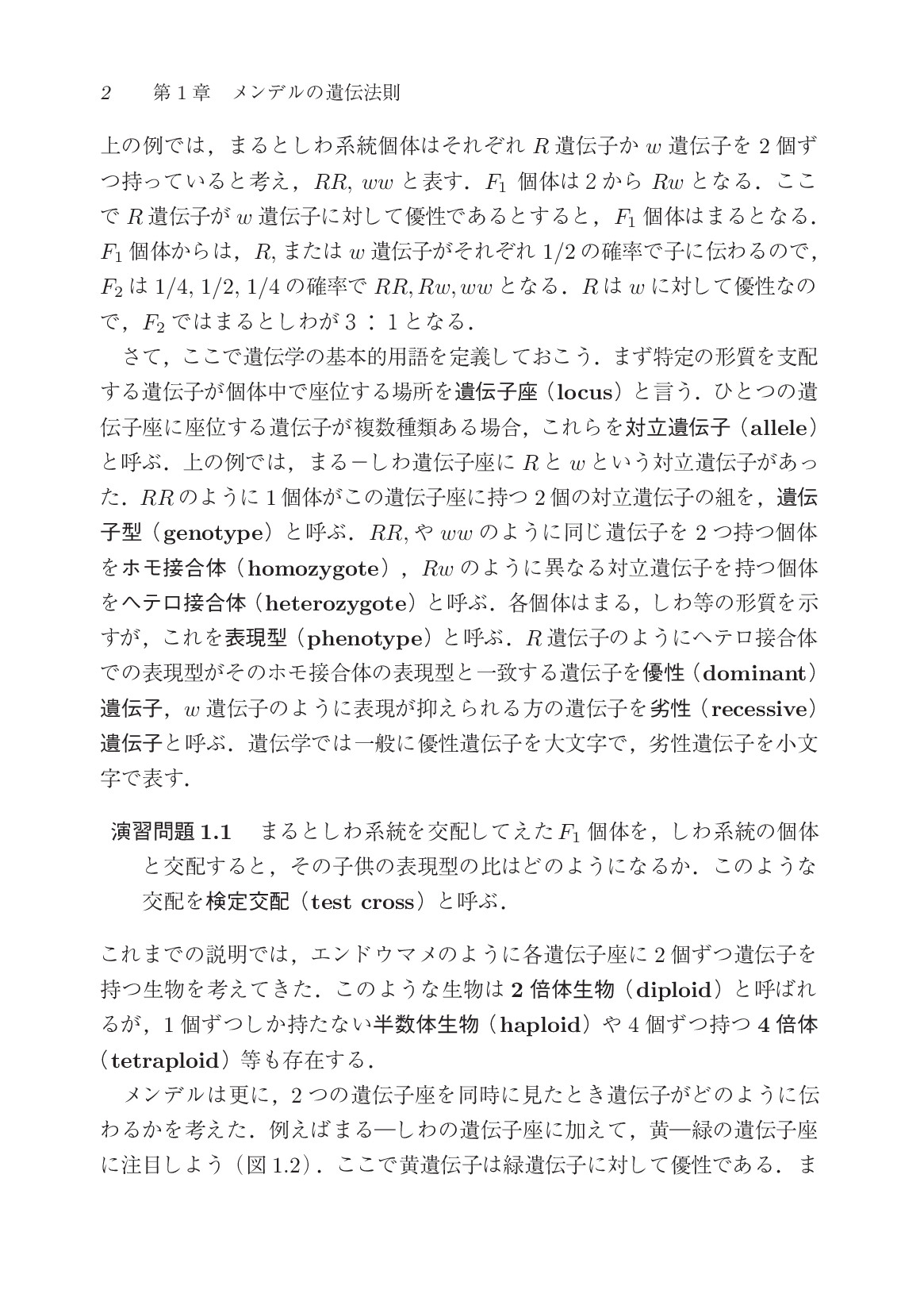サムネイル 19