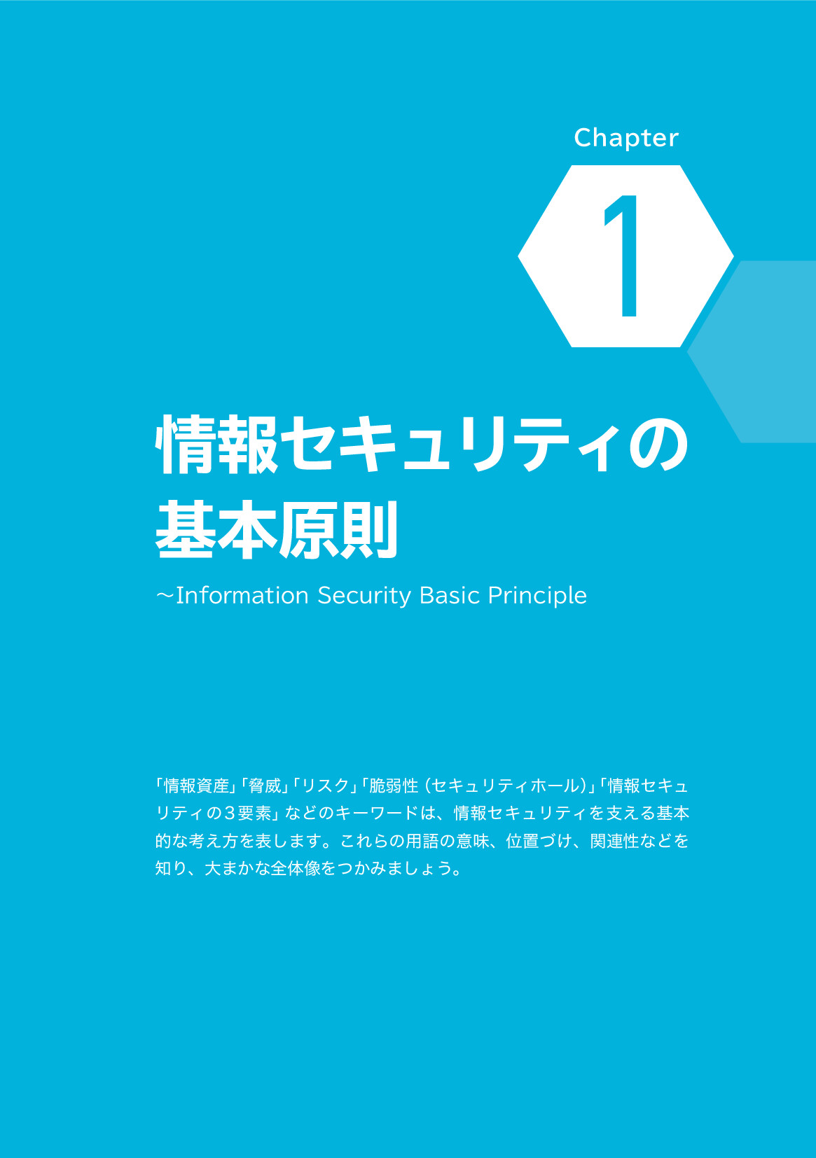 サムネイル 11