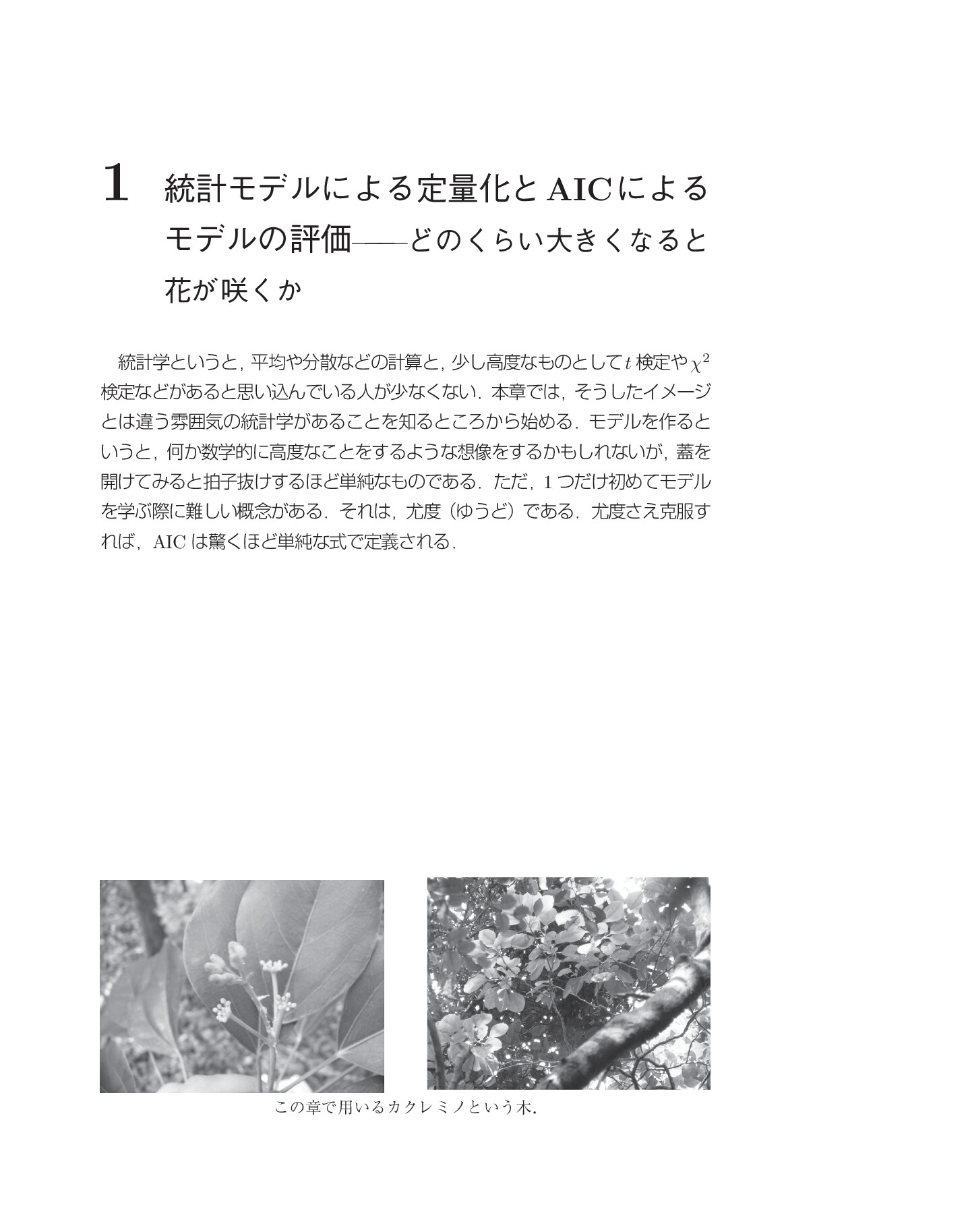 サムネイル 16